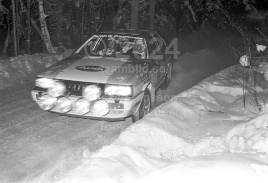 Rejmerallyt 1987