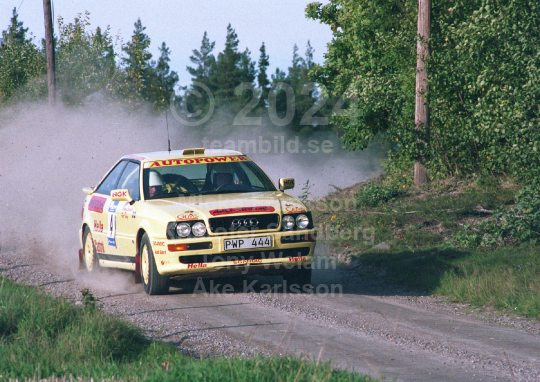 Rejmerallyt 1994