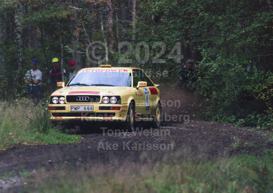 Rejmerallyt 1994