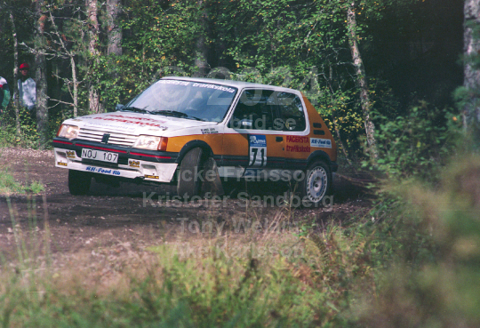 Rejmerallyt 1994