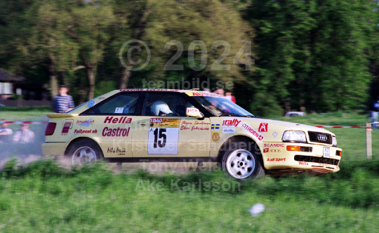 South Swedish Rally 1994