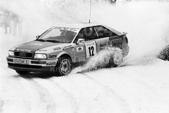 Svenska Rallyt 1993