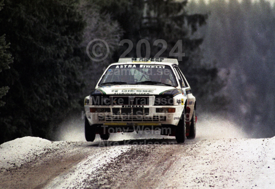Svenska Rallyt 1993