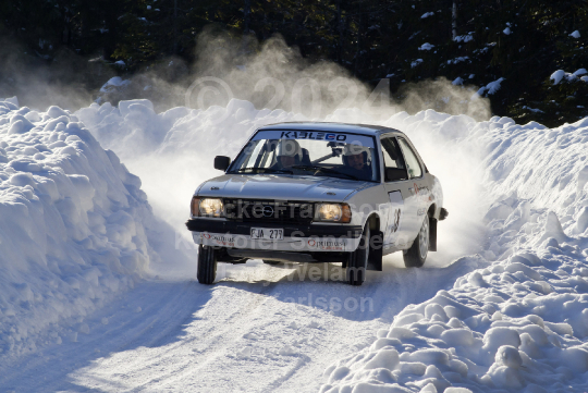 Dan Anderssons Minne 2011