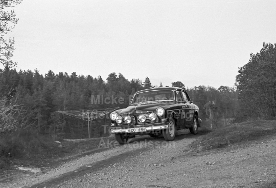 Rally 1982