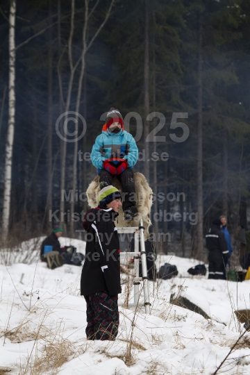 Rally Sweden 2012
