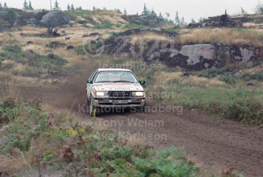 Rejmerallyt 1989