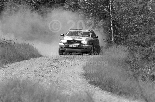 Rejmerallyt 1990