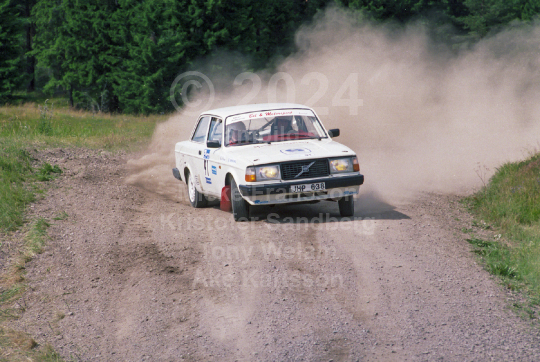 Rejmerallyt 1996