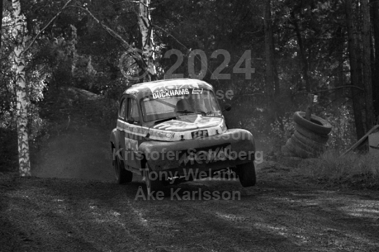 Ronnie Peterson Memorial 1979