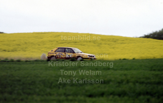 South Swedish Rally 1989