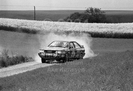 South Swedish Rally 1989