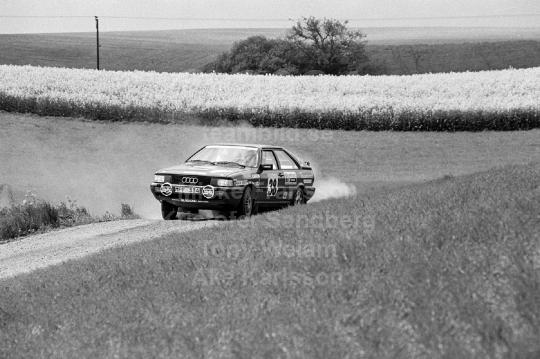 South Swedish Rally 1989