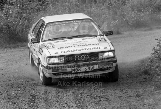South Swedish Rally 1990