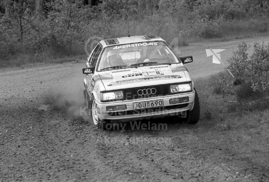 South Swedish Rally 1990