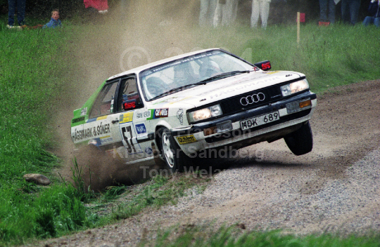 South Swedish Rally 1990